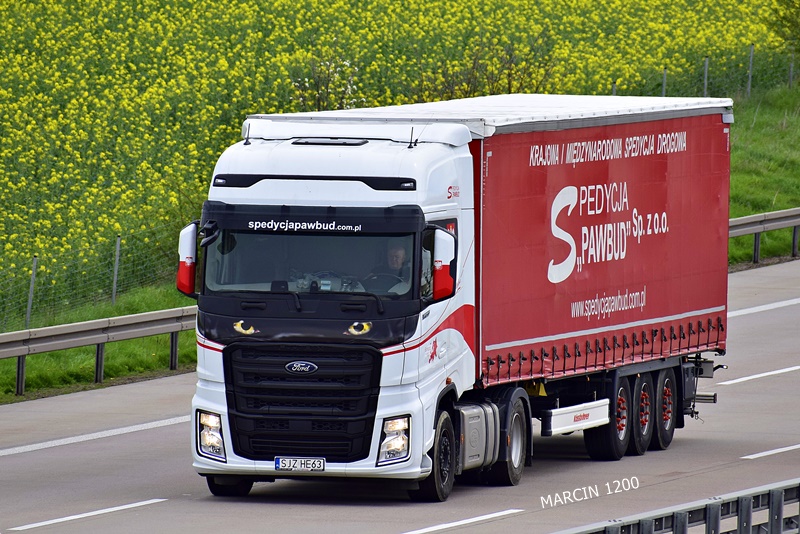 _DSC1560 PAWBUD-crop-FORD F-MAX.JPG