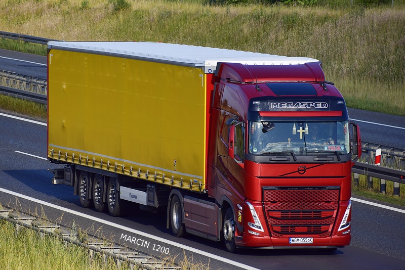 _DSC00011 (1032)-crop-MEGASPED-VOLVO FH V.JPG
