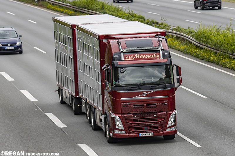 Volvo FH4 - Karl Marowsky.jpg