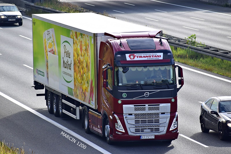 _DSC00011 (1191)-crop-Transtaxi -VOLVO FH V.JPG