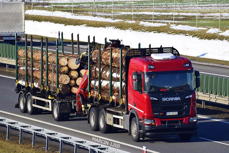 _DSC0979 SCANIA R560 XT DREWNO-crop-TRANSPORT DREWNA.JPG