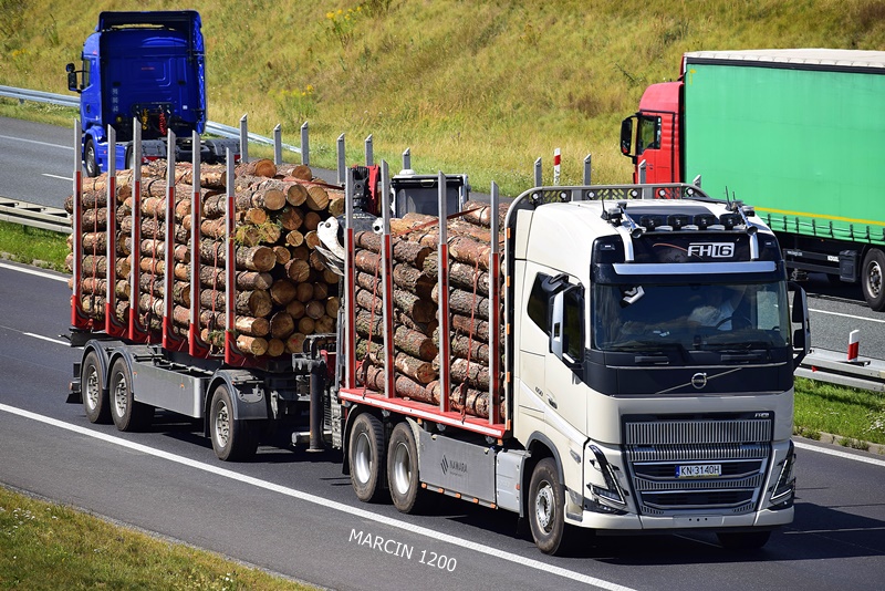 _DSC00011 (1427)-crop-NAWARA-VOVLO FH16-TRANSPORT DREWNA.JPG