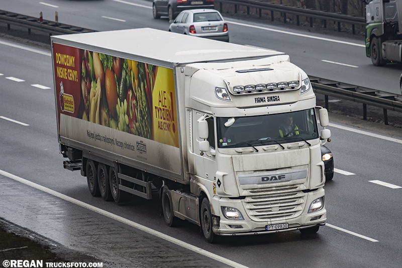 DAF XF Firma Sikora.jpg