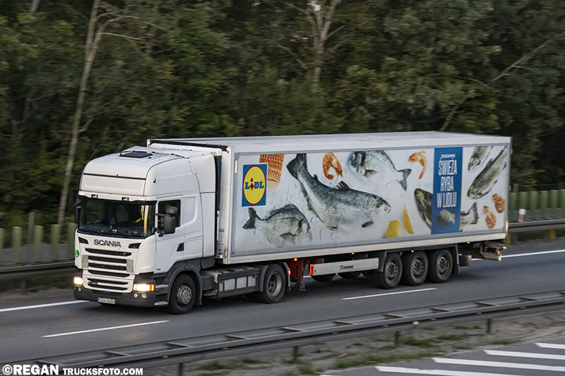 Scania R - Świeża ryba w Lidlu.jpg