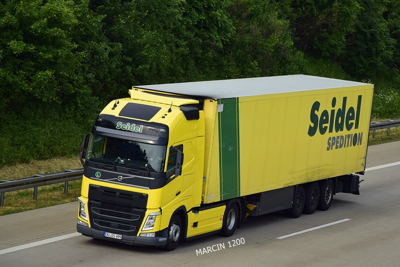 _DSC9979-crop-Seidel-VOLVO FH IV.JPG