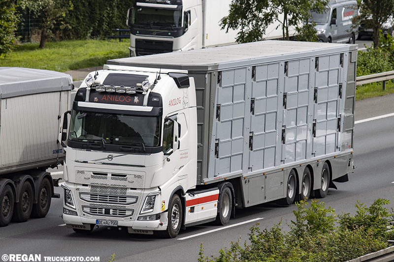 Volvo FH4 - Anilog.jpg