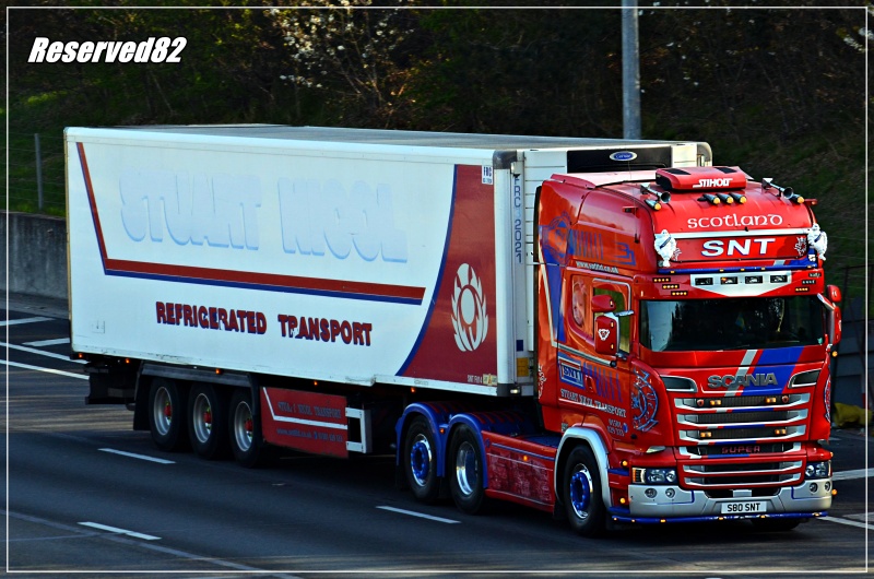 DSC_8961.JPG SNT.JPG