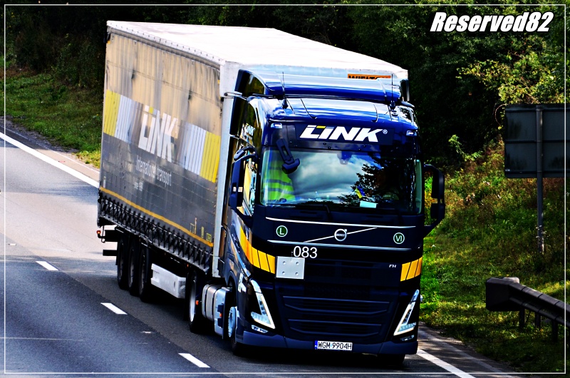 DSC_8194.JPG Link.JPG