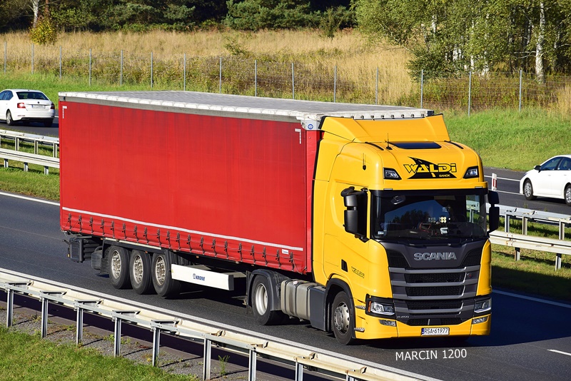 _DSC00011 (2162)-crop-WALDI SANOK-SCANIA R460 NG.JPG