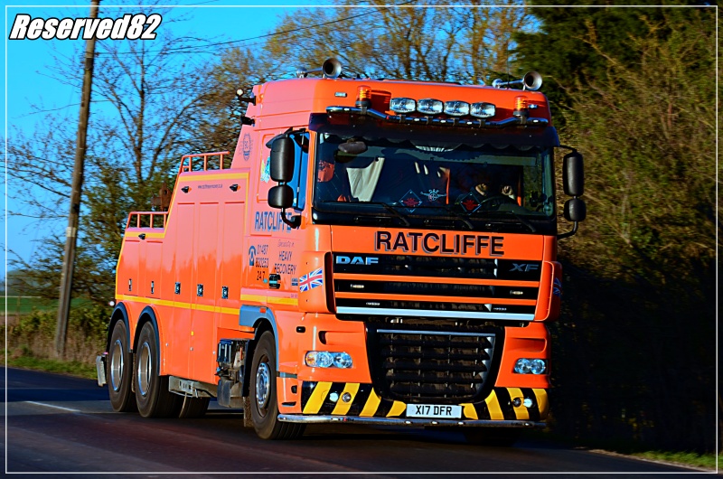 DSC_8242.JPG Holownik.JPG