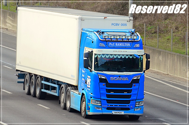 DSC_8992 P&C HAMILTON.JPG