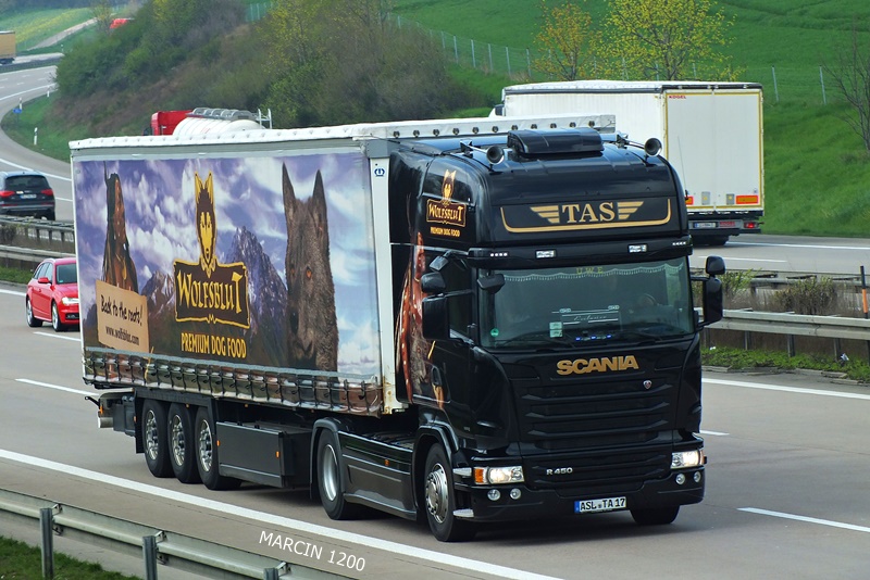 DSCF4338-crop-TAS-SCANIA R450.jpg