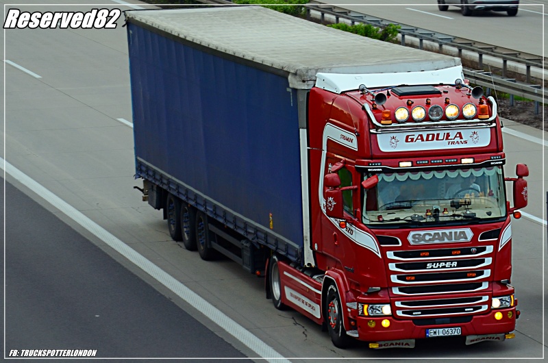 DSC_0914.JPG GaduLa Trans.JPG