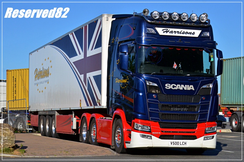 DSC_8768 Harrisons.JPG