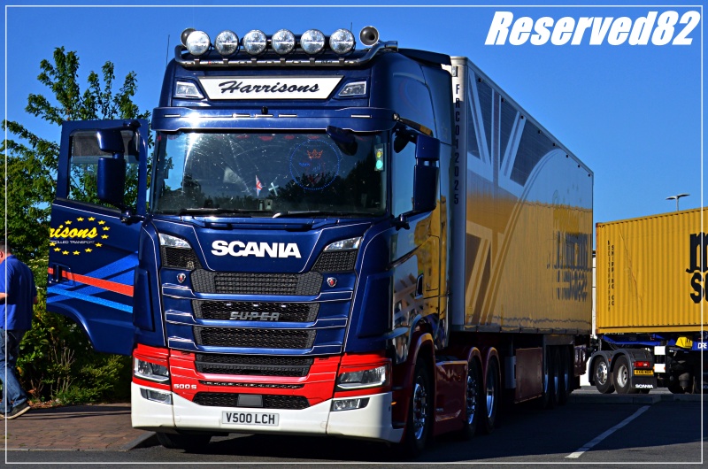 DSC_8764 Harrisons2.JPG