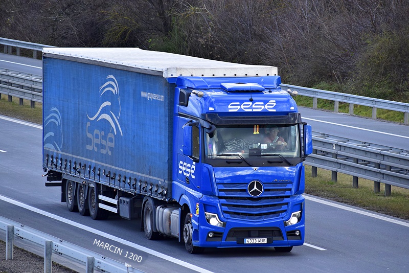 _DSC0639 SESE-crop-ActrosL.JPG