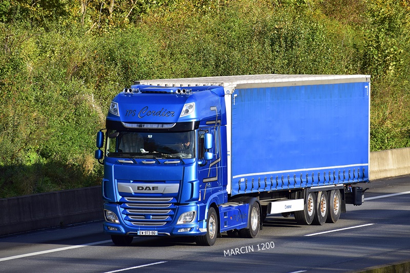 _DSC7826 TPS CARDIER-crop-DAF XF 106 II.JPG