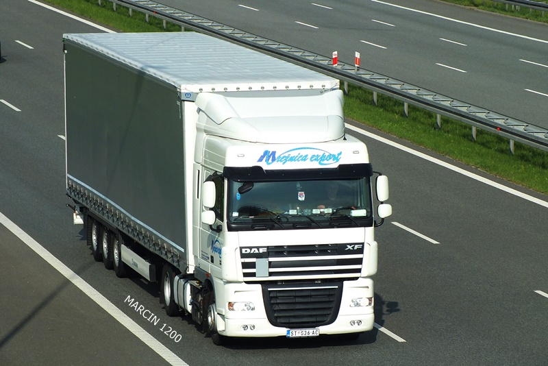 DSCF5702-crop-Mrežnica-Export-DAF XF 105.jpg