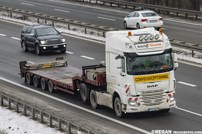DAF XF - Sad Trans.jpg