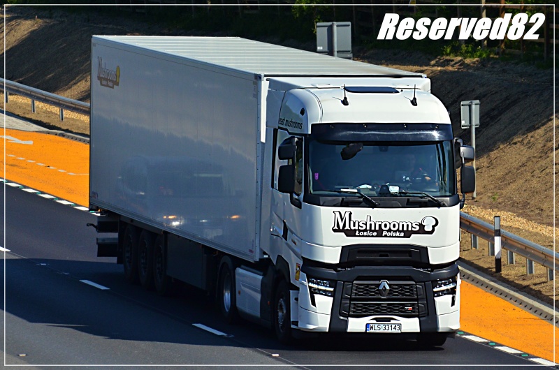 DSC_0111 Mushrooms.JPG