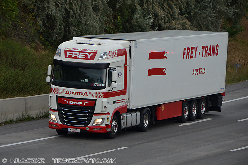 Daf 105XF_Frey_0964.JPG