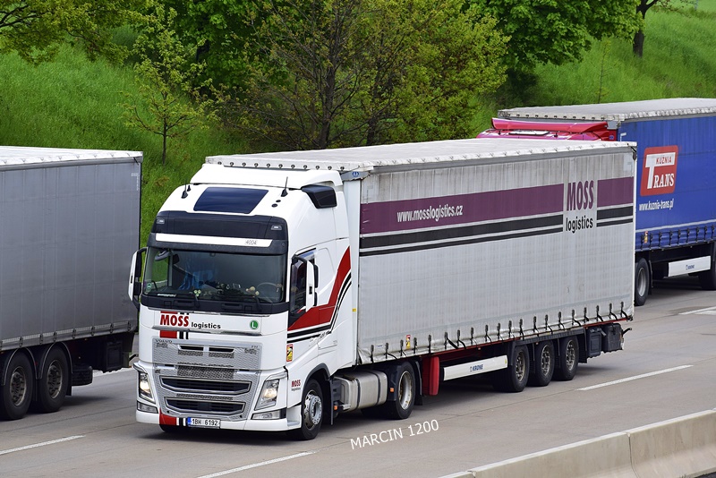 _DSC6921 MOSS-crop-VOLVO FHIV.JPG