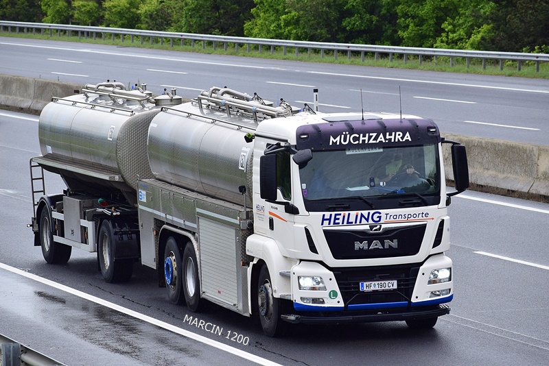 _DSC3002 HEILING-crop-MAN TGS.JPG