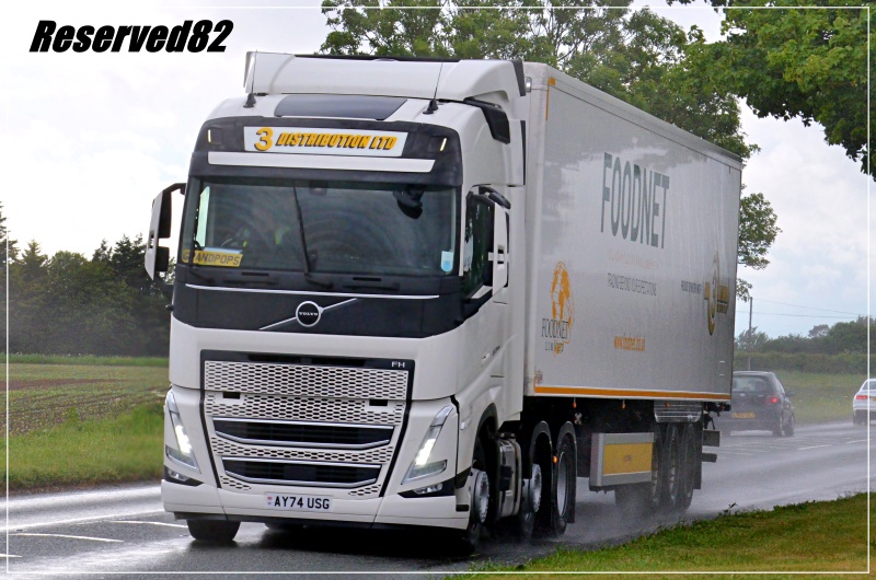 DSC_3895 3 distribution ltd.JPG