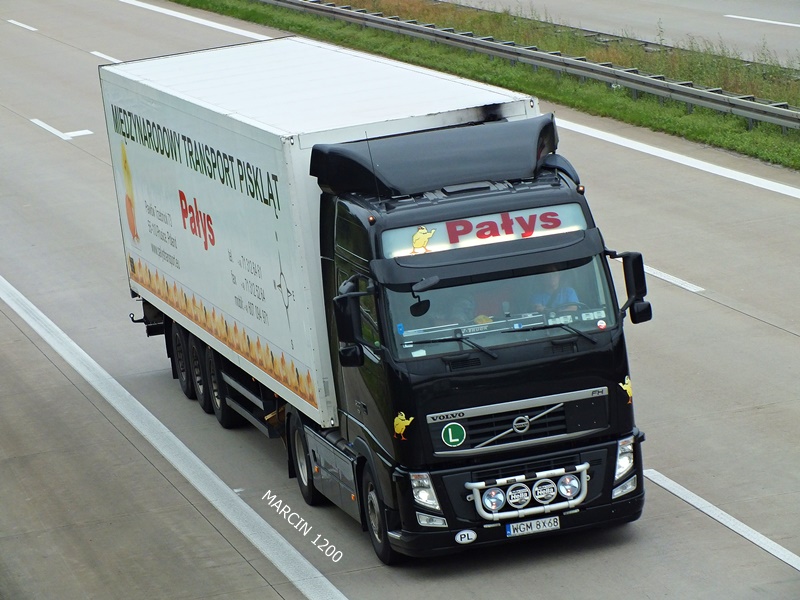 DSCF7077-PAŁYS-VOLVO FH III.jpg