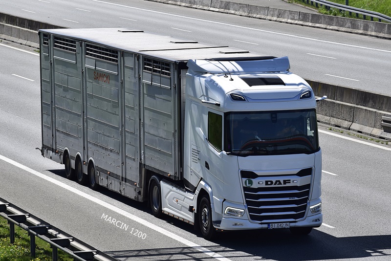 _DSC5795 SAWICKI-crop-DAF XG.JPG