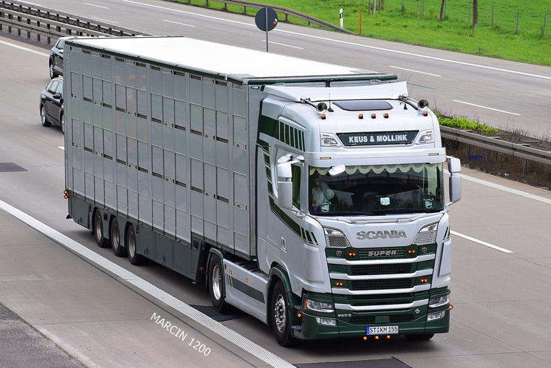 _DSC5585 KEUS&MOLLINK-crop-SCANIA S650 V8.JPG