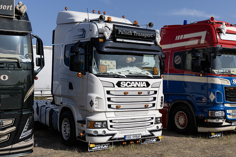 Scania R Paluch Transport.jpg