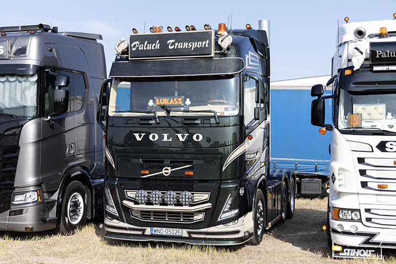 Volvo FH Paluch Transport.jpg