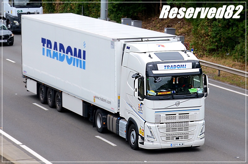 DSC_8795 Tradomi.JPG