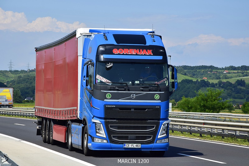 _DSC2499-crop-GORENJAK -VOLVO FHIV.JPG