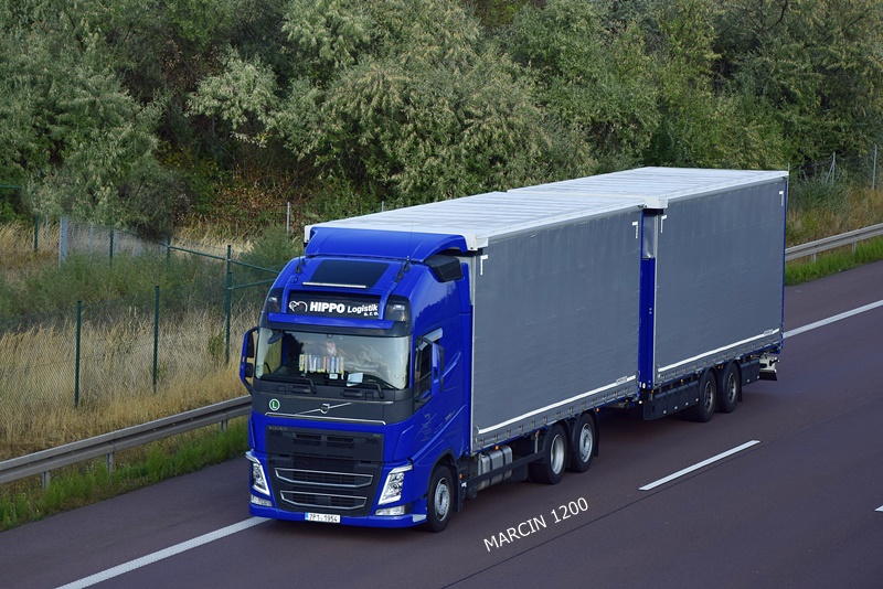 _DSC2869-crop-HIPPO-VOLVO FHIV.JPG
