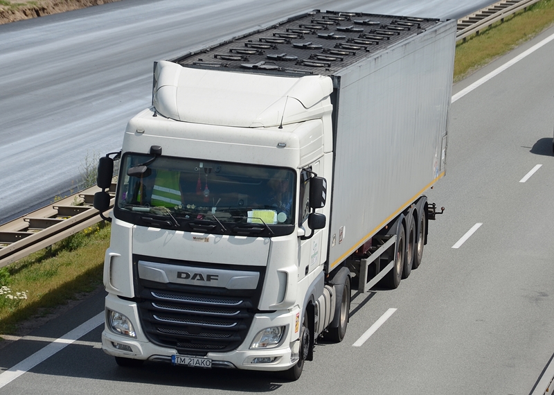 carbon logistic 2.JPG