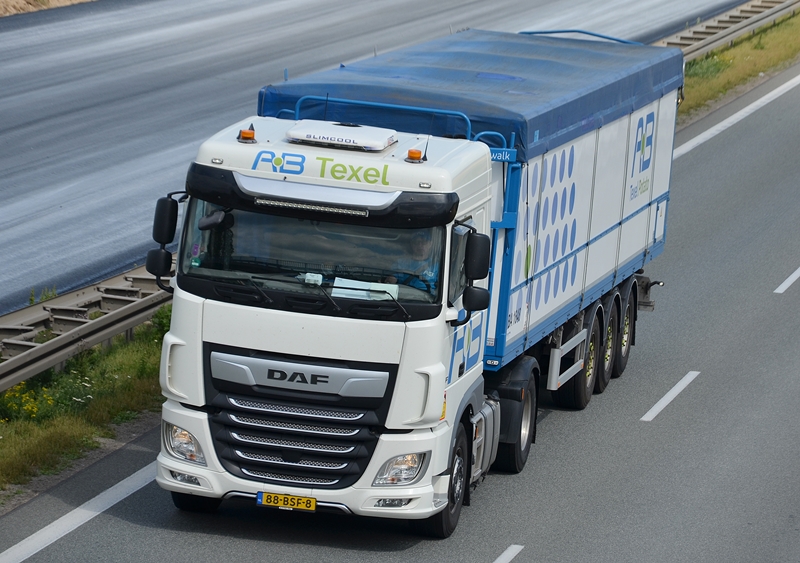 ab texel 1.JPG