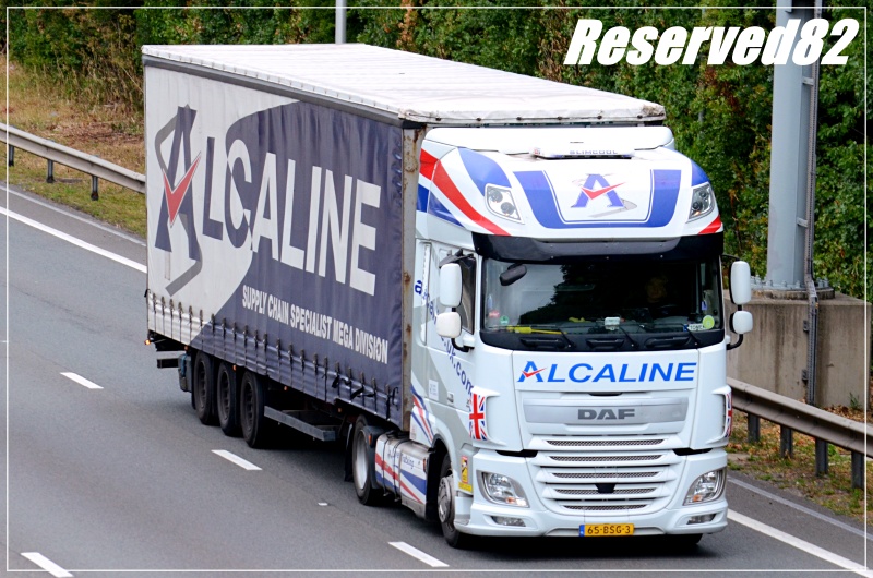 DSC_8923 Alcaline.JPG