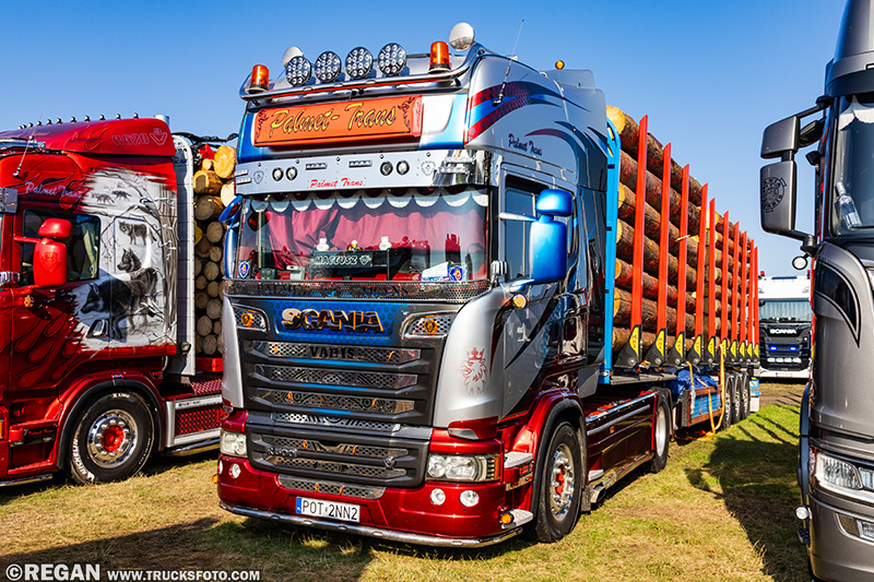 Scania R Palmet.jpg