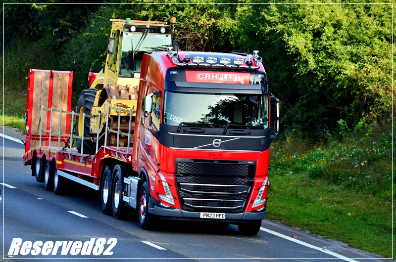 DSC_2276 Crh plant.JPG