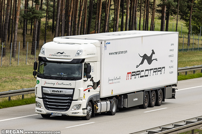 DAF XF - Marcotran.jpg