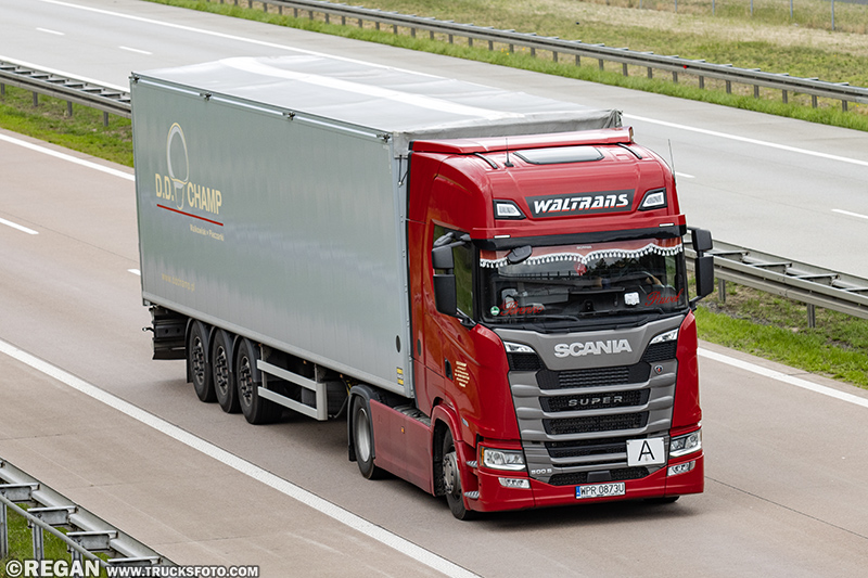 Scania 500S Super - Waltrans D.D.Champ.jpg