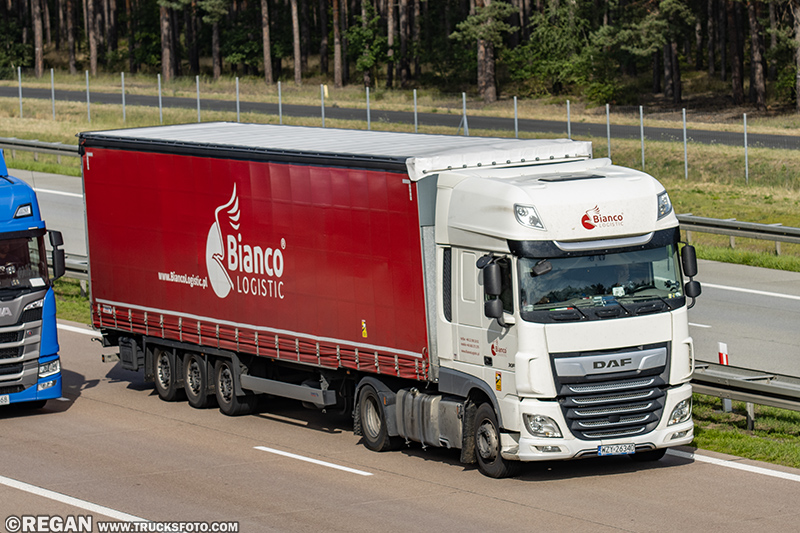 DAF XF - Bianco Logistic.jpg