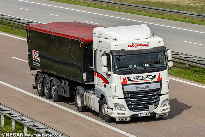DAF XF - Aniołczyk.jpg