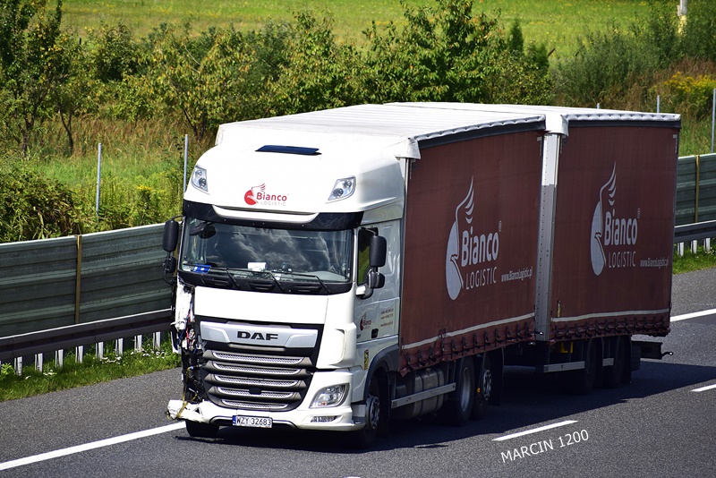 _DSC5808-crop-BIANCO-DAF XF 106 II.JPG