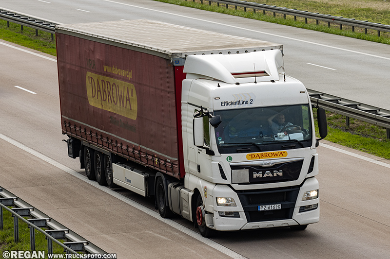 MAN TGX Dąbrowa.jpg