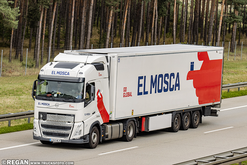 Volvo FH - EL Mosca.jpg