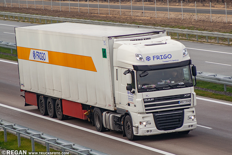 DAF XF105 - Frigo.jpg