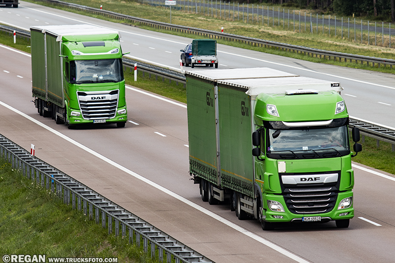 DAF XF - GD Trans.jpg